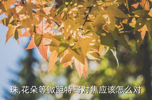 收到鮮花怎么拍對鏡,如何拍出好看的花...